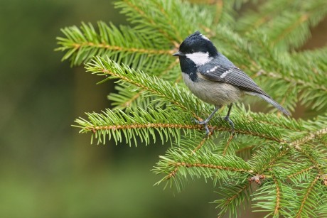 Z uhelníček 2026-3-4