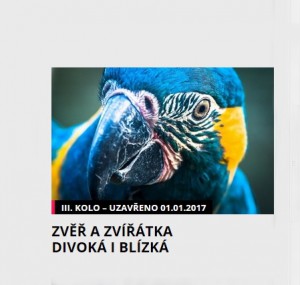 zver--a-zviratka.jpg